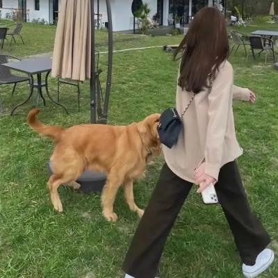 公主罗曼史