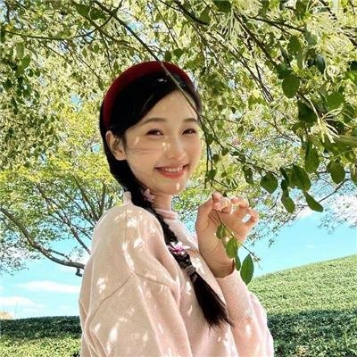 权力的堡垒 第一季